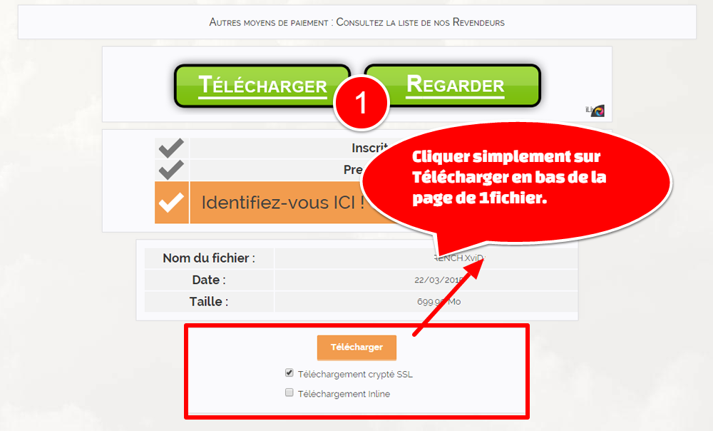 Comment télécharger sur 1fichier