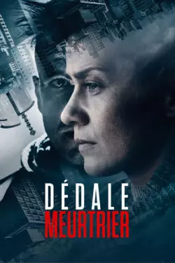 Dédale meurtrier  [WEB-DL 1080p] - MULTI (FRENCH)