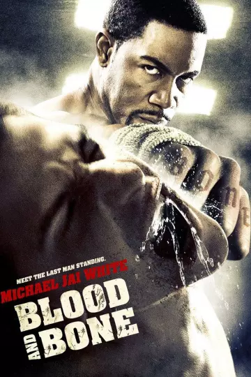 Blood and Bone  [HDLIGHT 1080p] - MULTI (TRUEFRENCH)